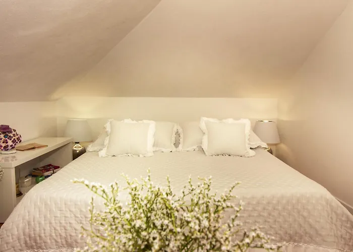 Spacious In With Parking 公寓 特罗吉尔